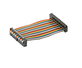 PBT 2.00mm IDC Socket 28AWG Flat Ribbon Cable Assembly